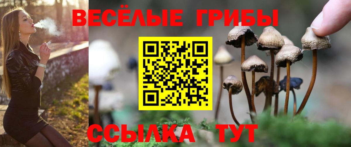 Гагарин  Галлюциногенные грибы Magic Shrooms  Вход с VPN  Галлюциногенные грибы ЛСД 